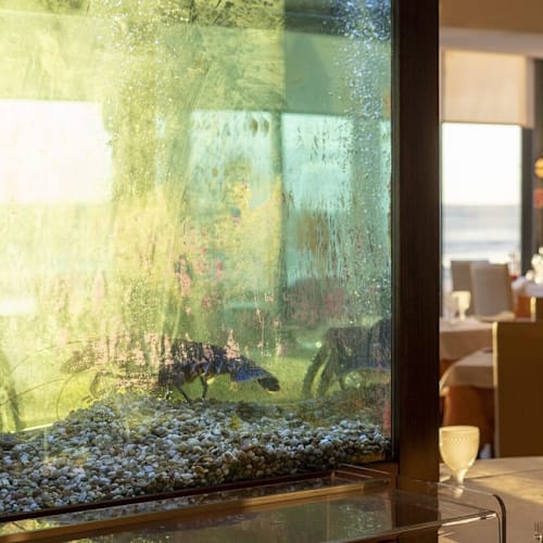 A Pastorinha, Carcavelos