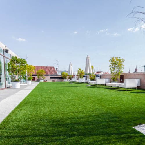 La Terraza del Mercado, Alcalá de Henares