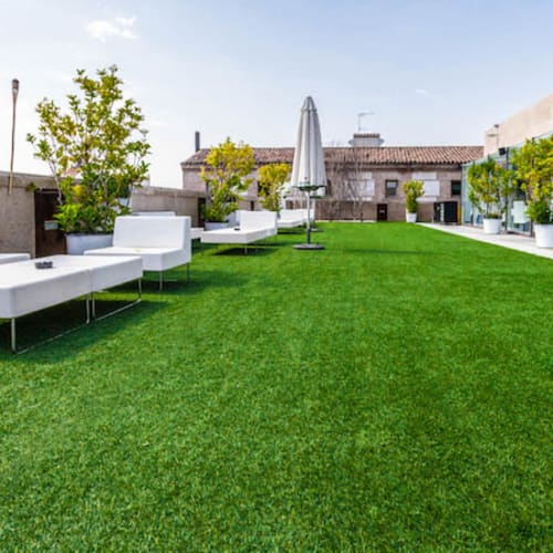 La Terraza del Mercado, Alcalá de Henares