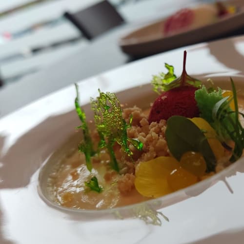 The Soul “democratical food”, Caserta