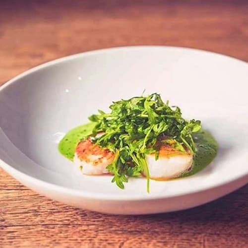 Med Vino & Cucina, Treviso