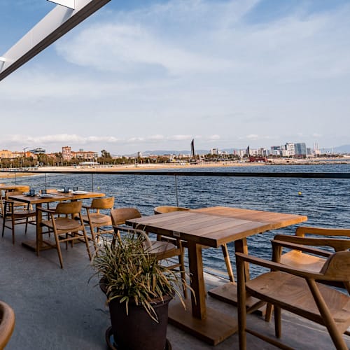 El Cangrejo Loco - Port Olimpic, Barcelona