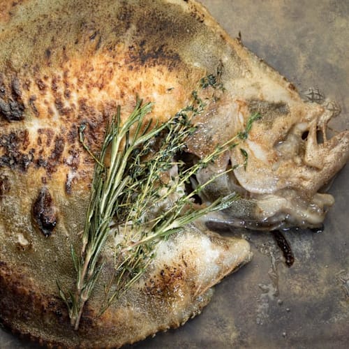 Alessandro Maino , Castelló de la Plana