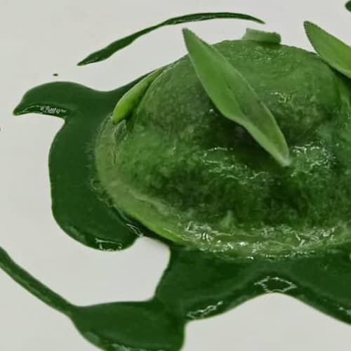 Alessandro Maino , Castelló de la Plana