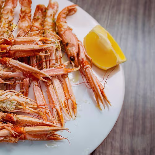 A’Palloza, Barcelona