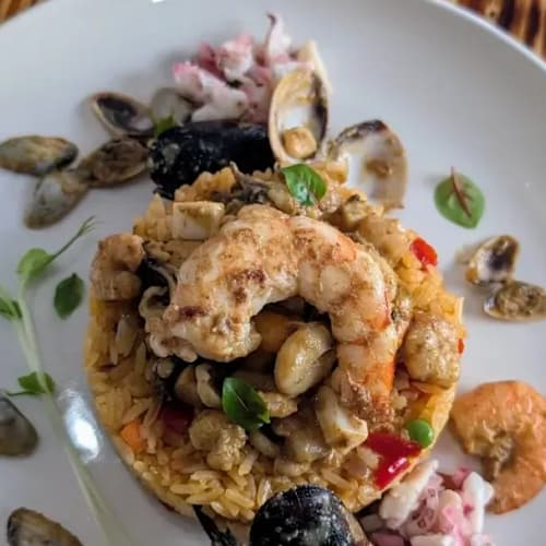 Chapa Tu Pollo, Ancona