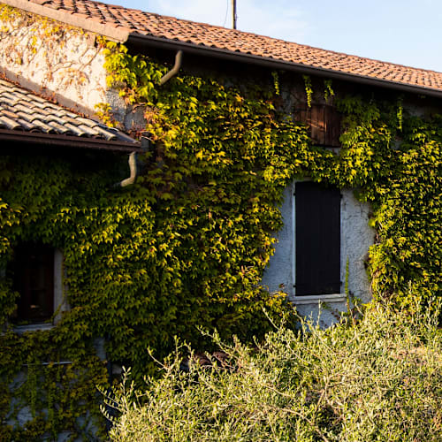 Cascina Capuzza, Desenzano del Garda