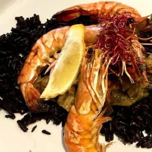 Le Bazeilles, Toulon