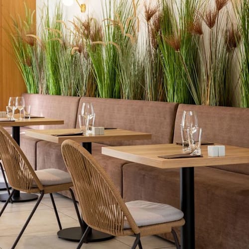 La Terrasse du Lac, Armbouts-Cappel