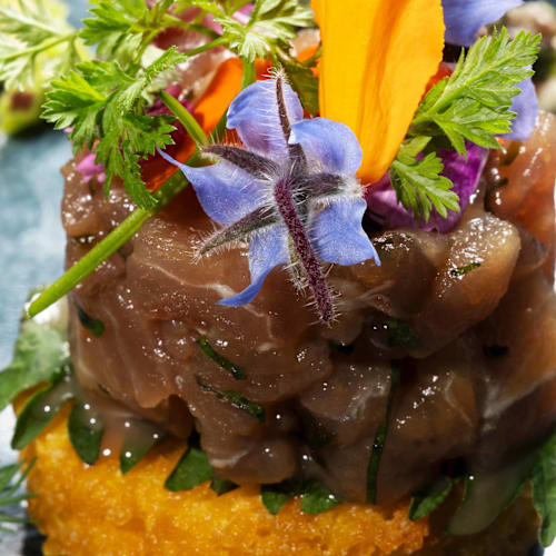 Don Papé, La Seyne-sur-Mer