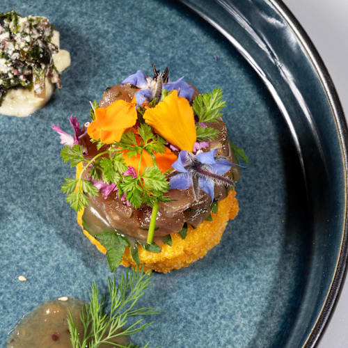 Don Papé, La Seyne-sur-Mer