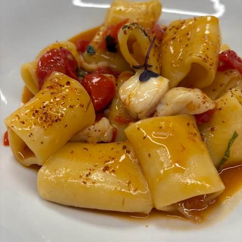 Primordiale, Caserta