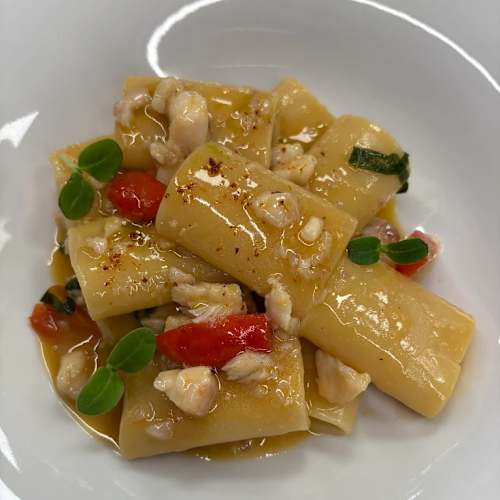 Primordiale, Caserta