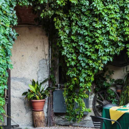 Corte dei brut, Gavirate