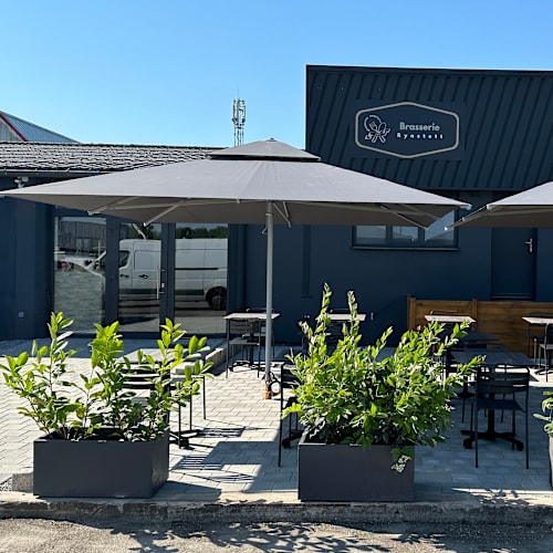 Brasserie Rynstett, Reichstett