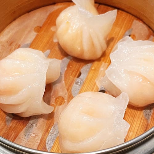 Zhusushi , Bologna