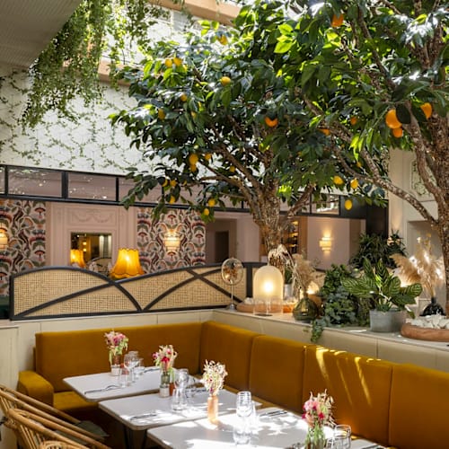 Arboré, Paris