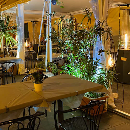 Zio Pesce, Savona