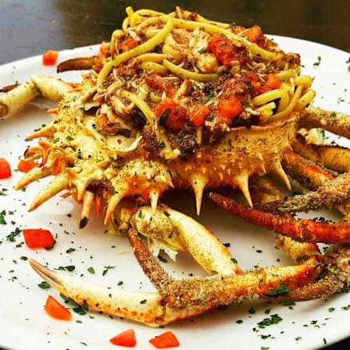 Zio Pesce, Savona