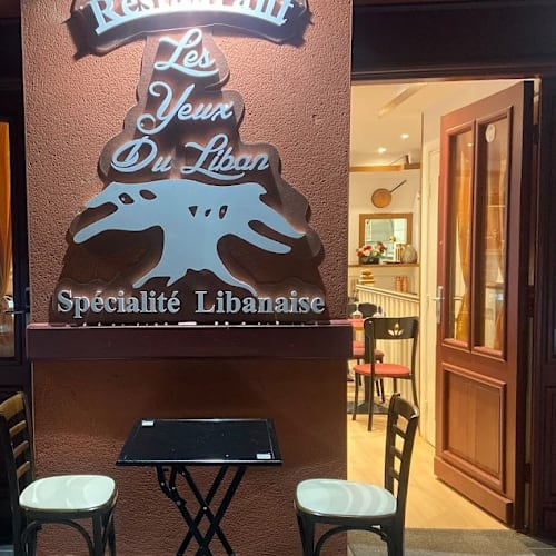 Les yeux du Liban, Villeurbanne
