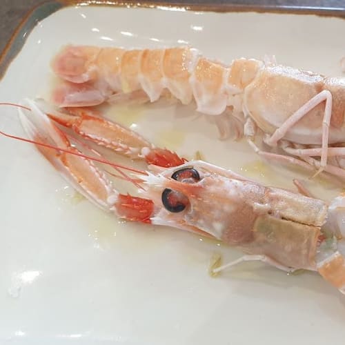 Educazione Marinara, Fiumicino