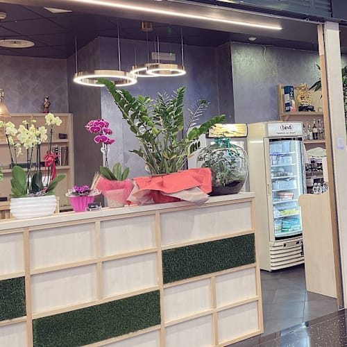 Sushi Re -menu alla carta, Reggio nell'Emilia