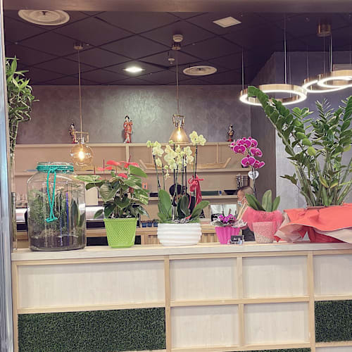 Sushi Re -menu alla carta, Reggio nell'Emilia