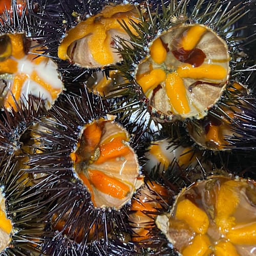 La Salata Piacere Culinario, Bisceglie