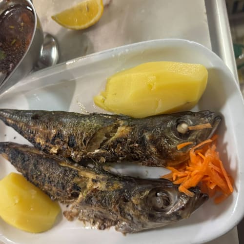 O Nosso Leitão, Amadora