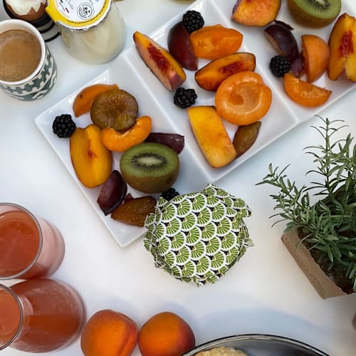 Brunch du Jungle , Toulouse