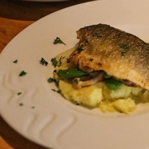 Oblique fusion dining, Den Haag