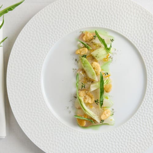 La GattaBuia, Matera