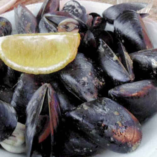 Il Timone, Portovenere