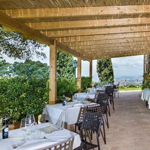 Podere L'Aione, Scansano