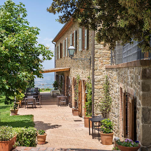 Podere L'Aione, Scansano
