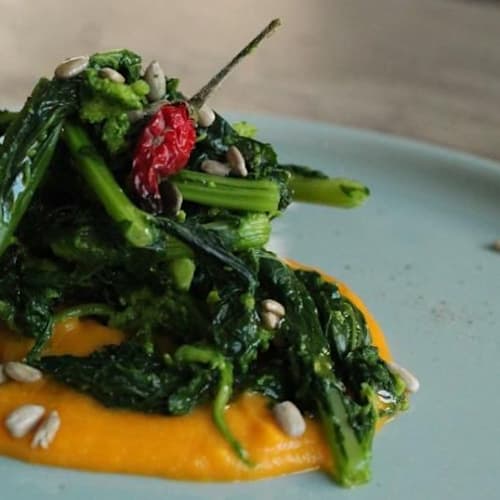 Oipulpit, Locorotondo