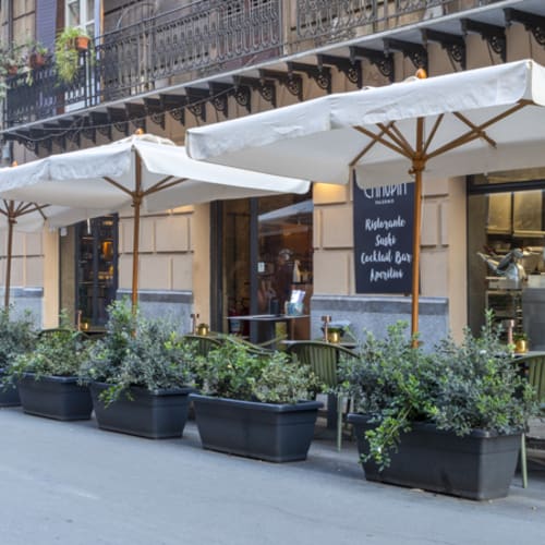 Canopia, Palermo