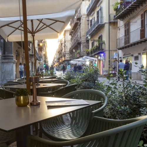 Canopia, Palermo