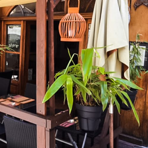 Chiang Mai Thai Restaurant, Geneva