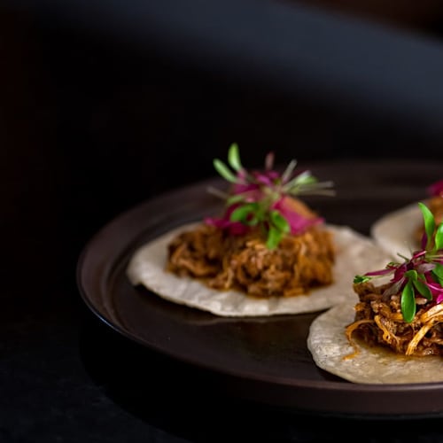 El Señor Lisboa, Lisboa