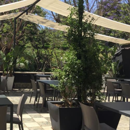 La Capannina PizzaBistrot, Catania