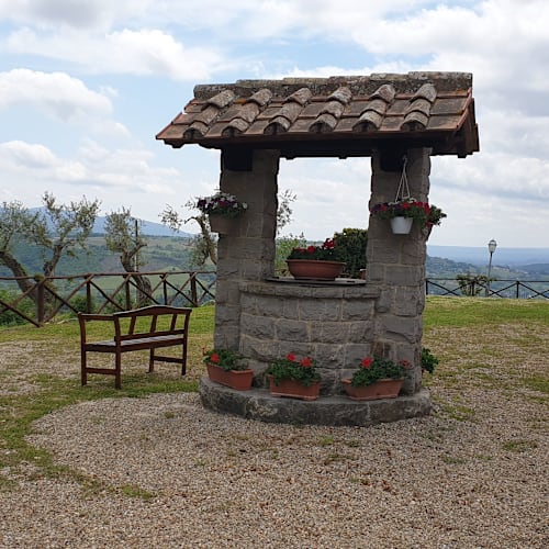 Il Caio, Orvieto