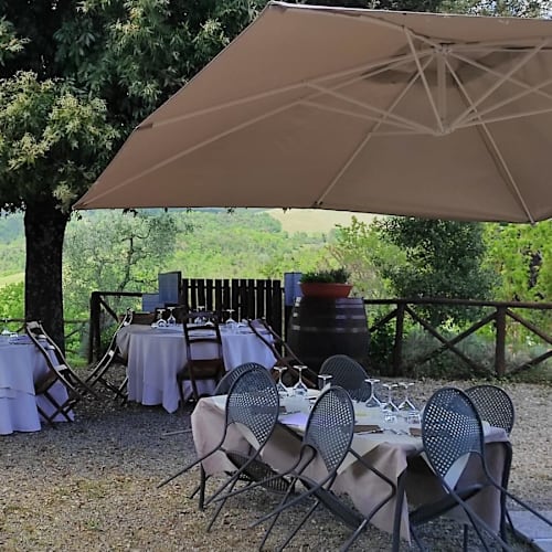 Il Caio, Orvieto