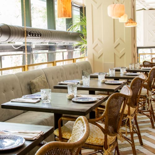 Sushita Café - Miguel Ángel, Madrid
