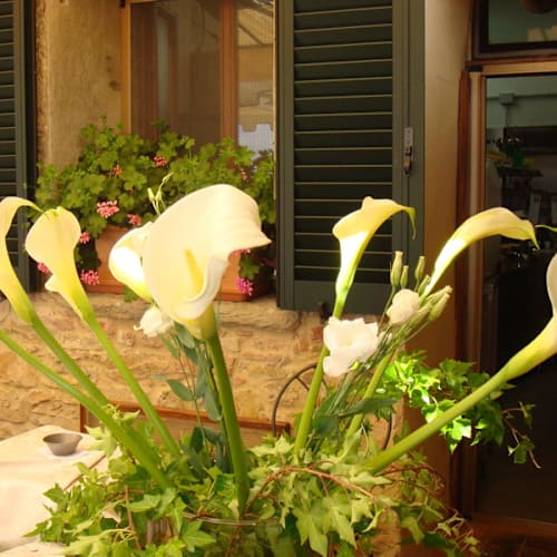 Il Goccino, Lucignano