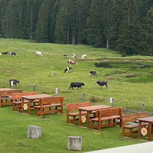 Malga Millegrobbe, Lavarone