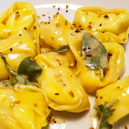 Clorofilla, Bologna