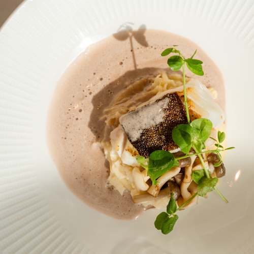 Brasserie Cé, 's-Hertogenbosch