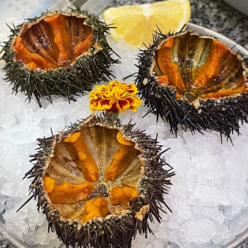 La Fisheria, Cologno Monzese