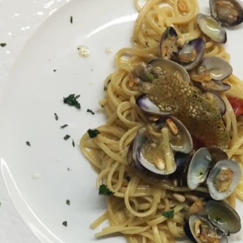 Terra Nostra Otranto, Otranto